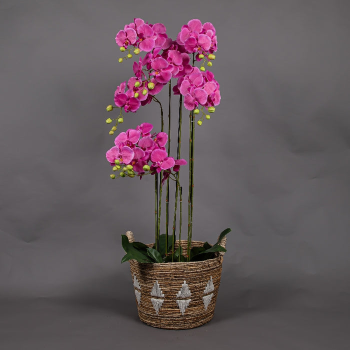 MEIRUI ORCHID WITH MOIST POT 118CM PURPLE (413252076)