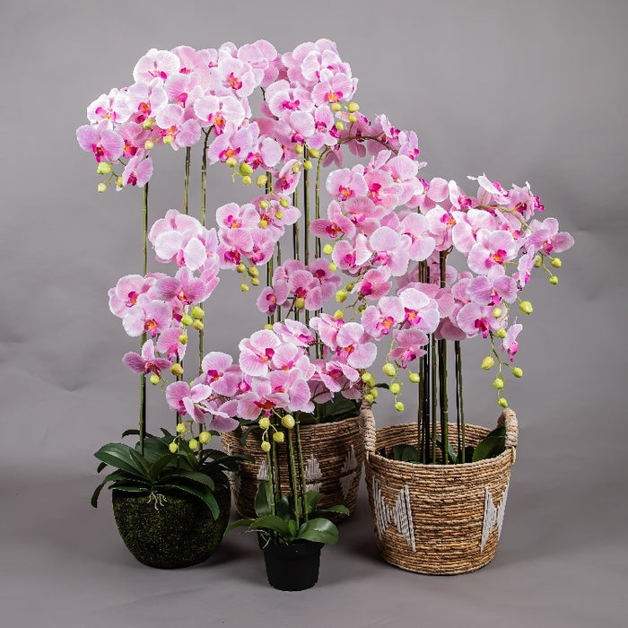 MEIRUI ORCHID WITH PLASTIC POT 90CM LIGHT PURPLE (41325069)