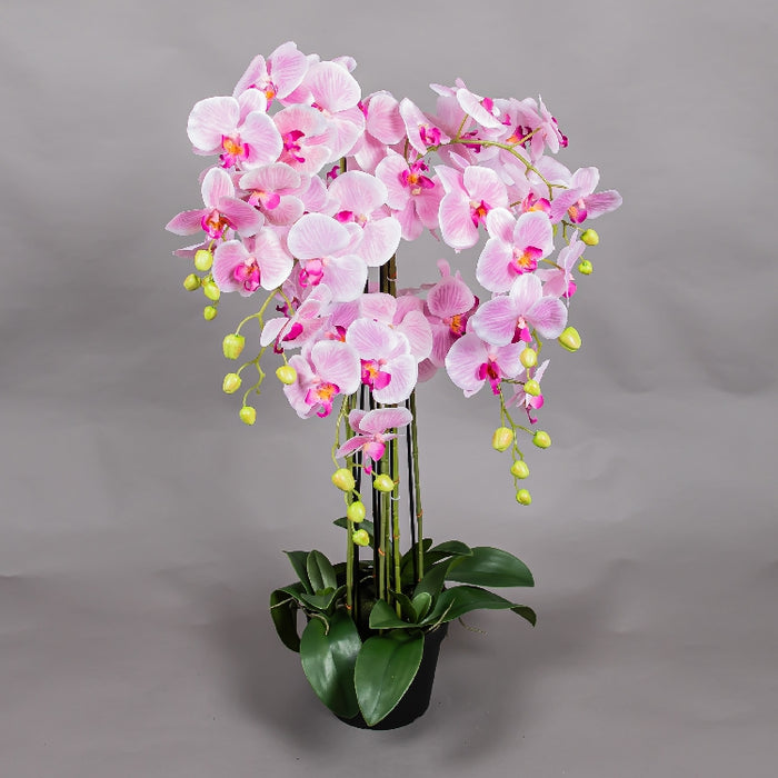 MEIRUI ORCHID WITH PLASTIC POT 90CM LIGHT PURPLE (41325069)