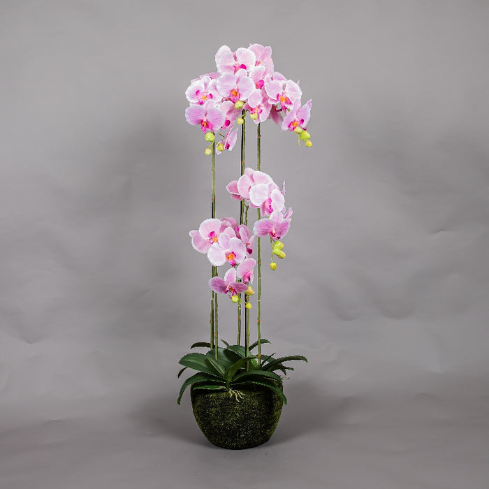 MEIRUI ORCHID WITH MOIST POT 115CM LIGHT PURPLE (413252072)