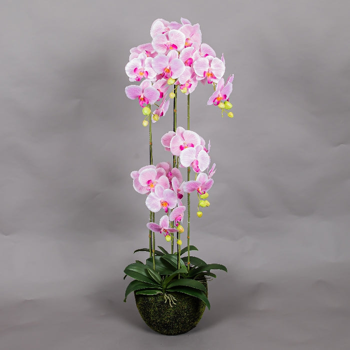 MEIRUI ORCHID WITH MOIST POT 115CM LIGHT PURPLE (413252072)