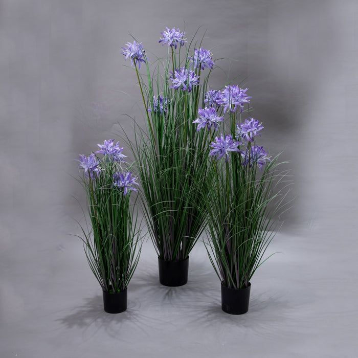 LONGJN-120CM PURPLE MAGIC LILY GRASS (413252186)