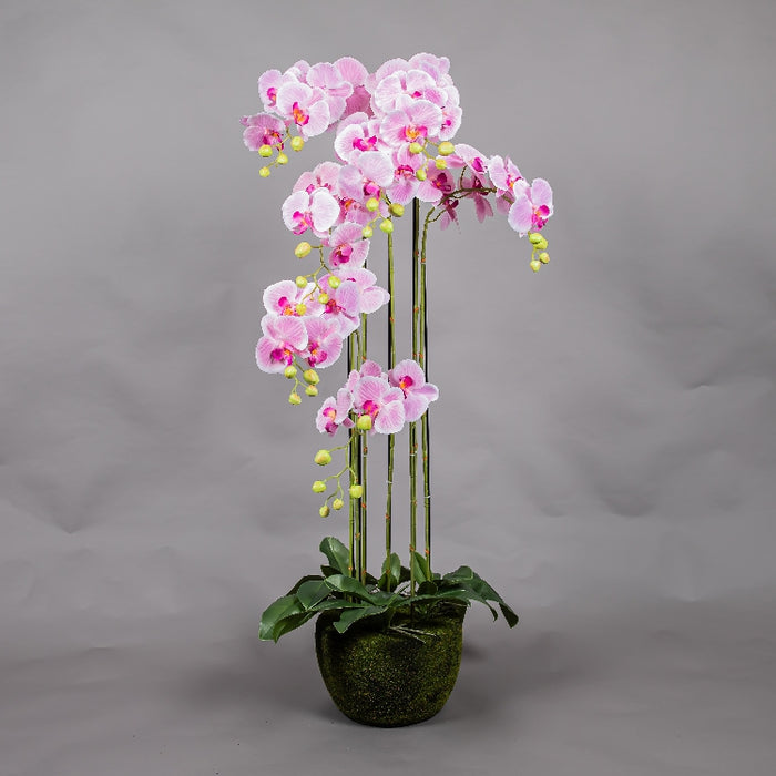 MEIRUI ORCHID WITH MOIST POT 118CM LIGHT PURPLE (413252075)