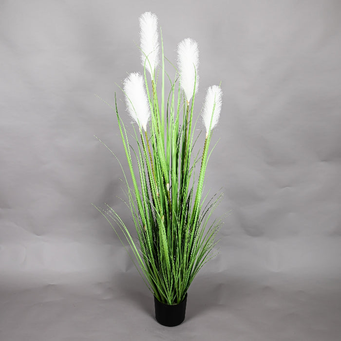 LONGJIN 60INCH REED GRASS WITH PLASTIC POT (413252053)