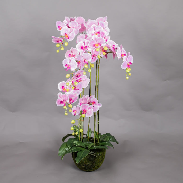 MEIRUI ORCHID WITH MOIST POT 118CM LIGHT PURPLE (413252075)