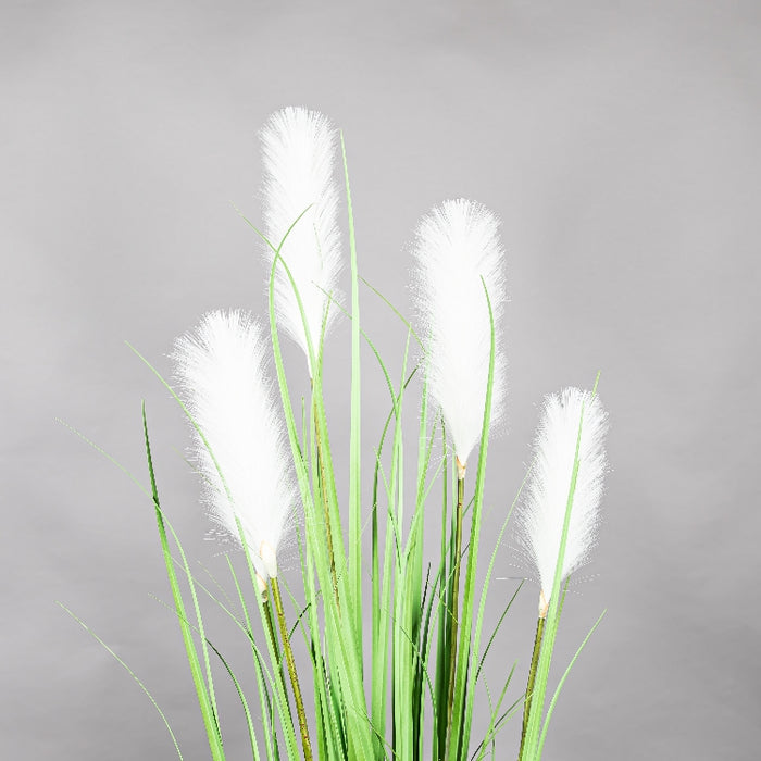 LONGJIN 60INCH REED GRASS WITH PLASTIC POT (413252053)