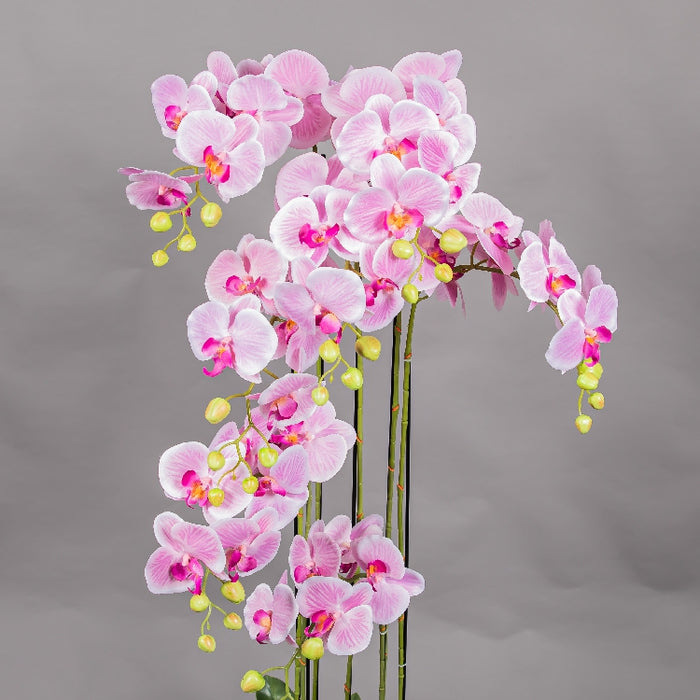 MEIRUI ORCHID WITH MOIST POT 118CM LIGHT PURPLE (413252075)