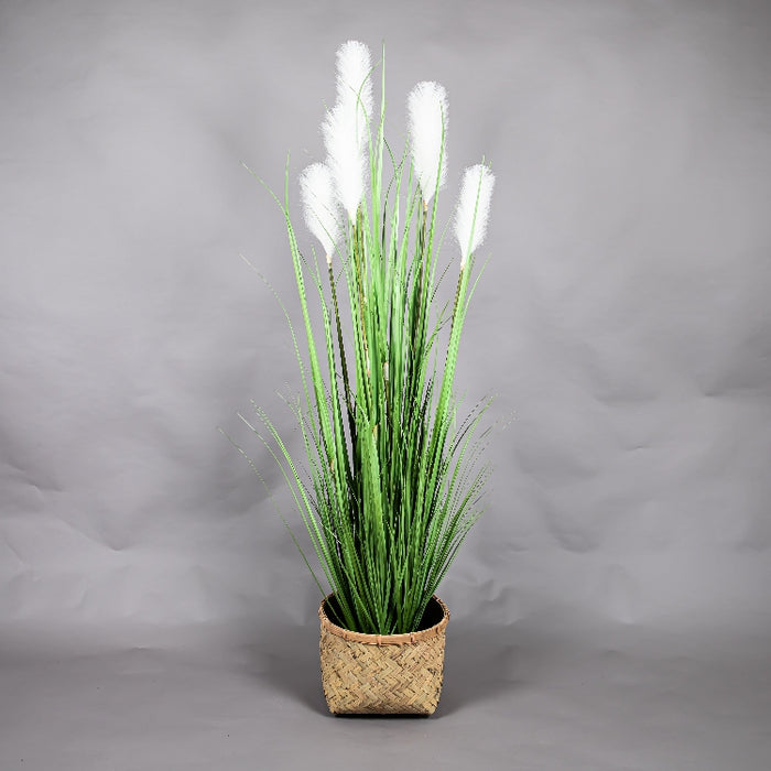 LONGJIN 60INCH REED GRASS WITH PLASTIC POT (413252053)