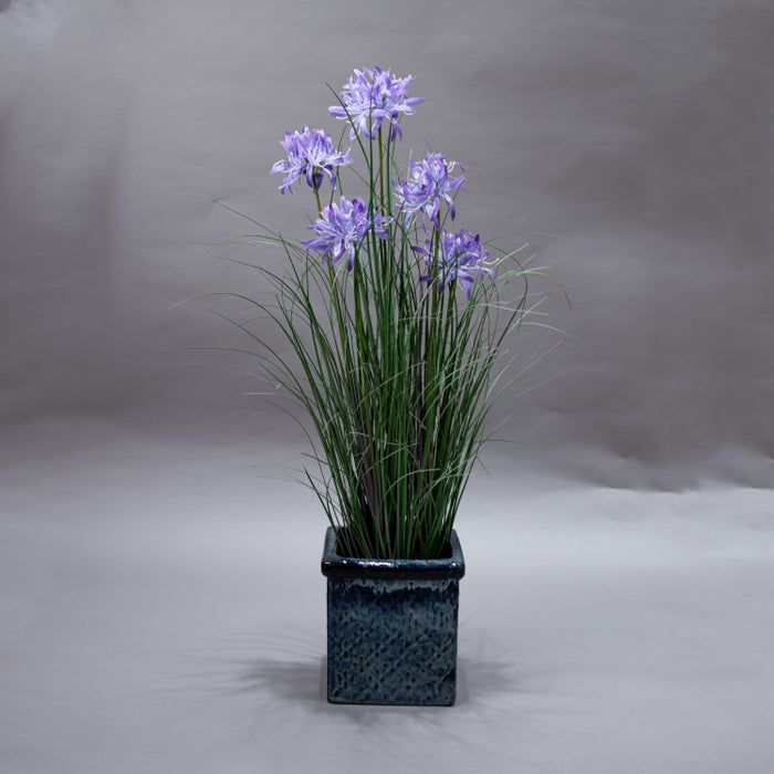 LONGJN-90CM PURPLE MAGC LILY GRASS (413252185)