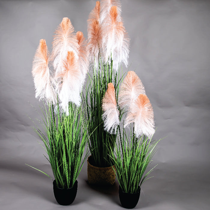 LONGJIN 72INCH PLUME GRASS WITH PLASTIC POT (413252058)