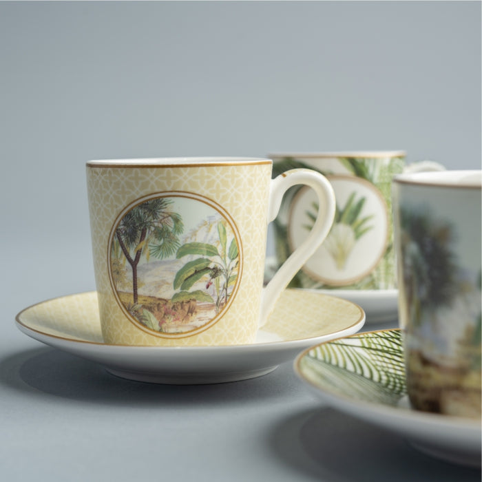 CEYLON SET OF 6 ESPRESSO CUP & SAUCER 100ML (202072300)