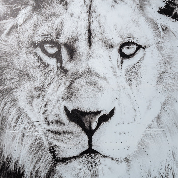 HK HOME CANVAS FADE LION 60X90 (337270055)